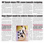 Read the January 8 Lamont Leader right here: