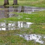 Mundare puts a hold on drainage bylaw passage
