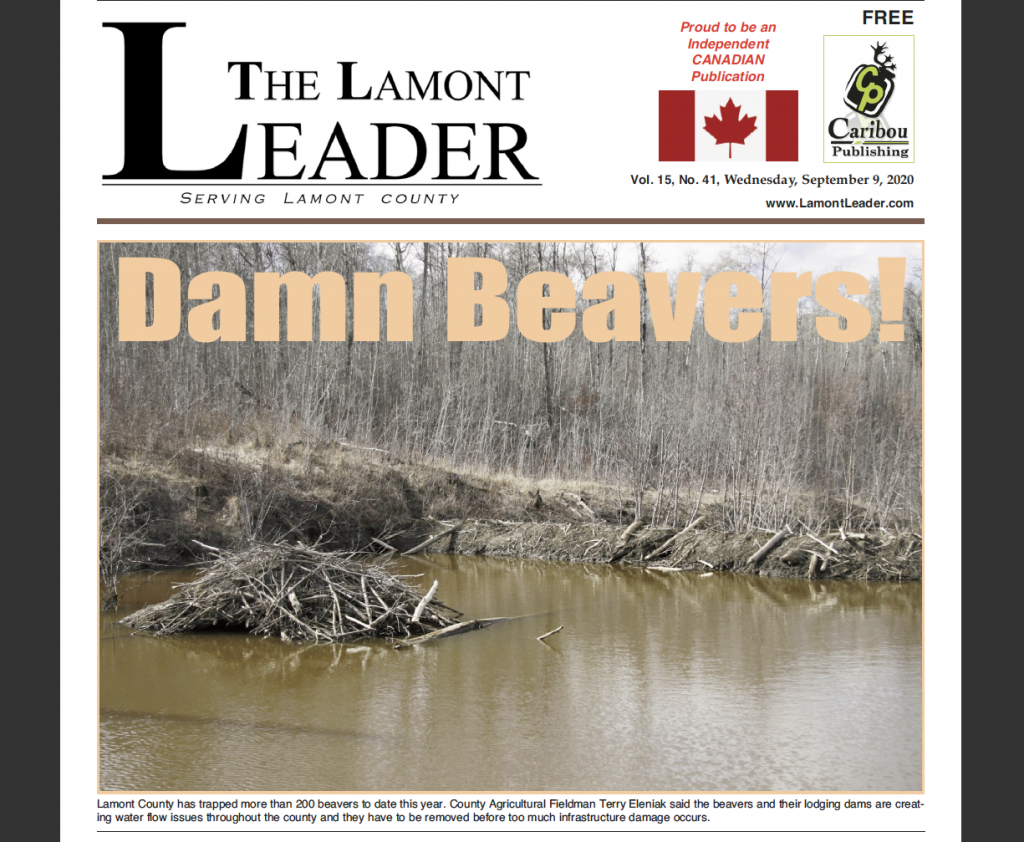 DAMN BEAVERS! Read this week’s LEADER right now: