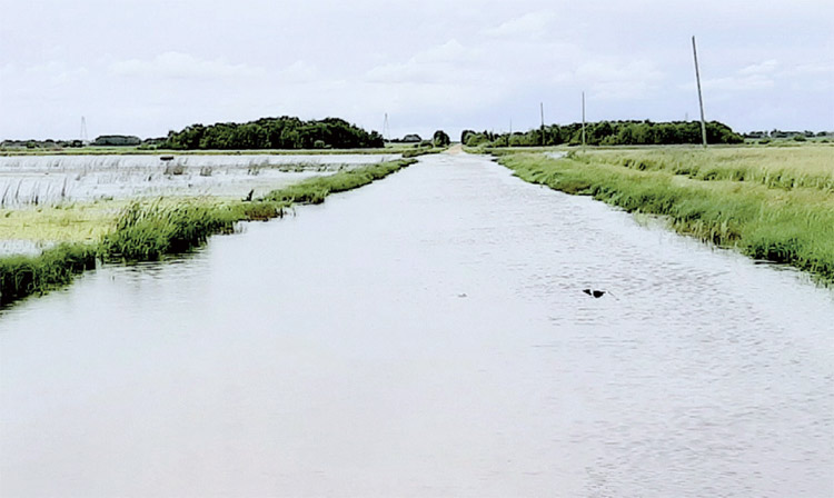 County wants Ag. Minister to see devastation firsthand