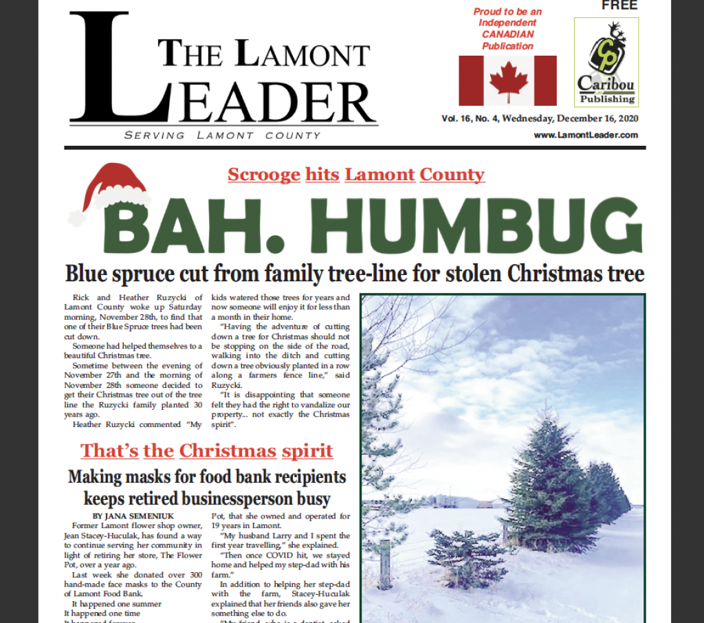 BAH HUMBUG // Blue spruce cut from family tree-line stolen for Christmas Tree. READ THE LATEST LEADER >>