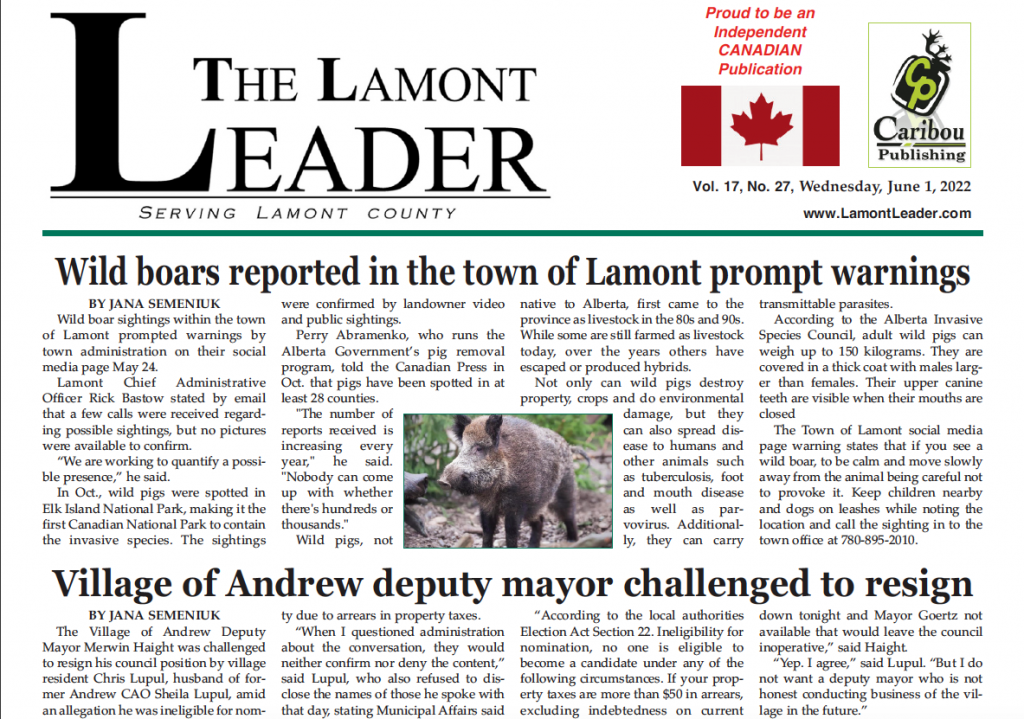 Wild Boars prompt warning – read the latest LEADER now!
