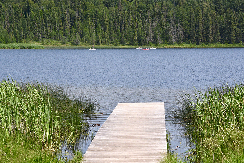 Alberta’s increased aquatic invasive species fines will be the highest in North America