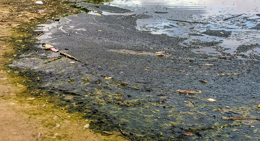 NOT A PRETTY PICTURE: Manitoba environmental group sounds alarm over sewage contamination in Lake