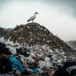 Manitoba’s landfill search for homicide victims set to begin by end of October