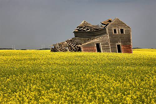 Farm values hit new high in Alberta